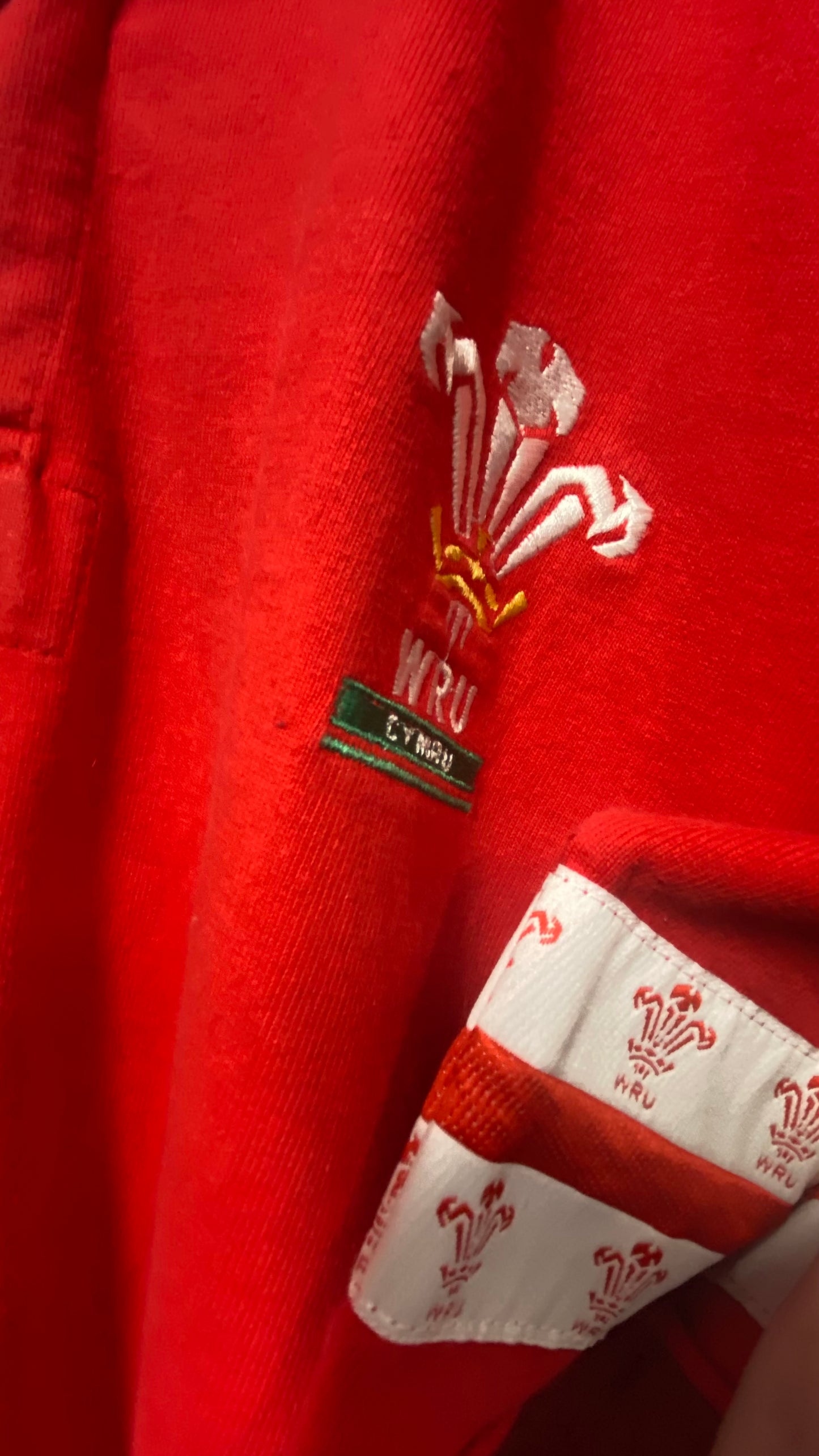 5 Nations Emyr Lewis Match Worn Wales Rugby Shirt